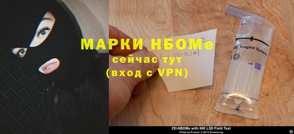 дживик Богородицк