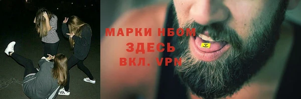 дживик Богородицк