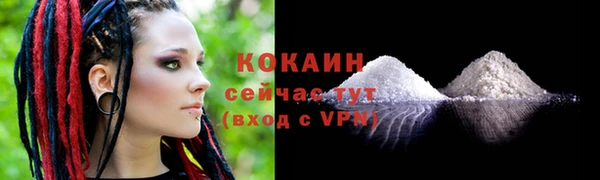 стаф Бородино