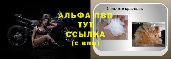 дживик Богородицк