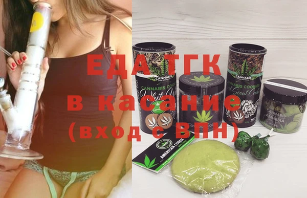 стаф Бородино