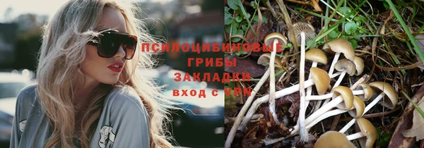 дживик Богданович