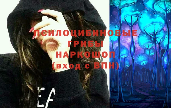 ECSTASY Семилуки